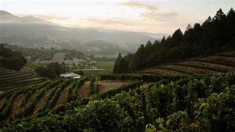 Pine Ridge Vineyards Napa Valley Wineries Wine Folly
