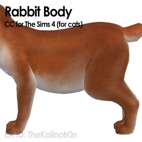 Rabbit And Cc For Your Cats At Kalino Sims 4 Updates
