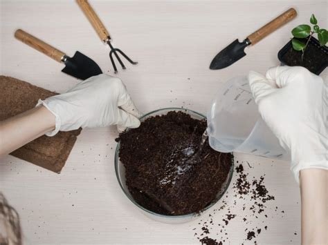 How to tell if your lawn needs lime. How to Tell If Your Lawn Needs Lime?