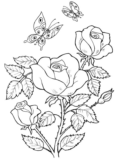Roses Coloring Pages To Download And Print For Free