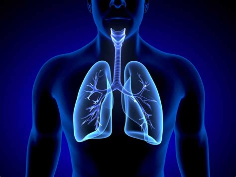 Chronic Obstructive Pulmonary Disease Copd Virinchi Hospitals