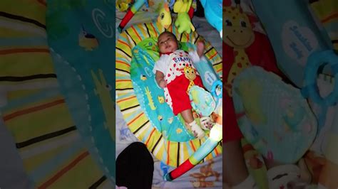Baby Gendut Bayi Lucu Youtube
