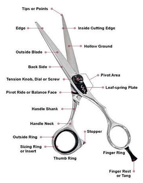 The Terminology Of Scissors