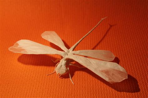 Más Tamaños Libélula Flickr ¡intercambio De Fotos Origami