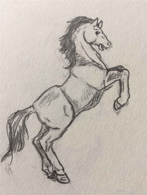 Dibujo De Caballo En Dos Patas A Lapiz Dibujos Fáciles