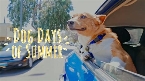 So when i first heard of the song, i thought it was about the bad days being over. Dog Days of Summer - Title Animation on Vimeo