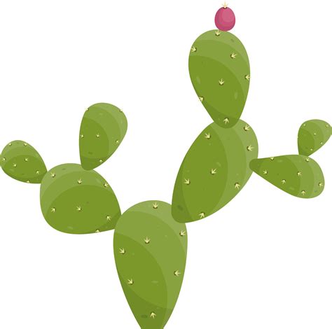 Free Cartoon Desert Cactus Plant 21612001 Png With Transparent Background