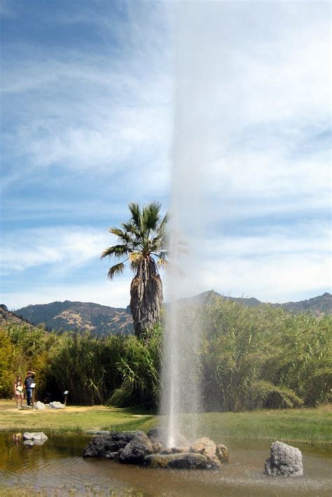 california calistoga old faithful geyser of california flickr