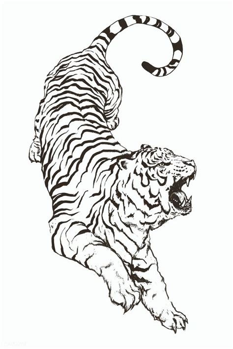 Top 106 About Tiger Tattoo Drawing Super Hot Indaotaonec