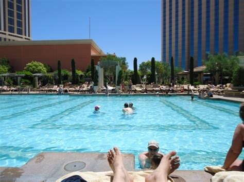 Venetian Hotel Las Vegas Pool Originaleedesigned