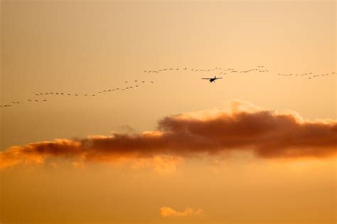 Free Images Landscape Nature Horizon Cloud Sky Sun Sunrise