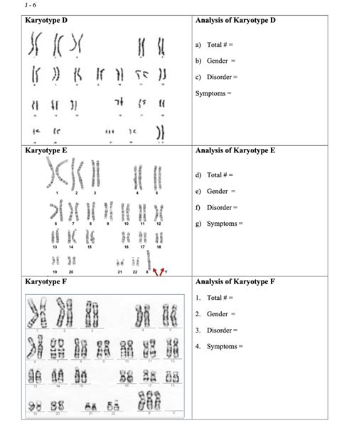 Solved Chromosomes In Karyotypes Are Arranged In Groups With