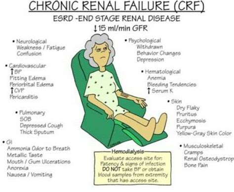 Signs Of End Stage Kidney Failure Kidkads