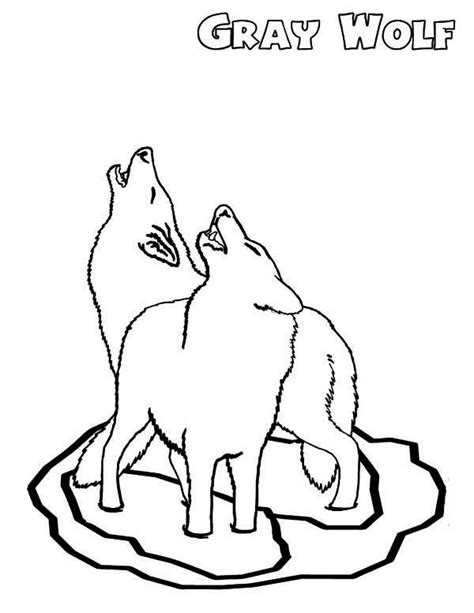 Wolf Wolf Couple Howling Together Coloring Page Online Coloring