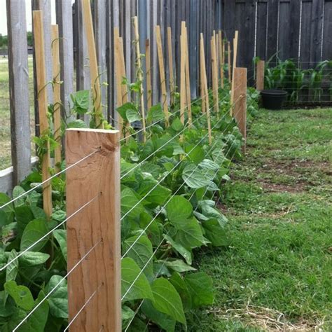 If you have a small fencing budget, source materials yourself, and follow online. DIY garden fence ideas, cheap, decoration, easy, privacy ...