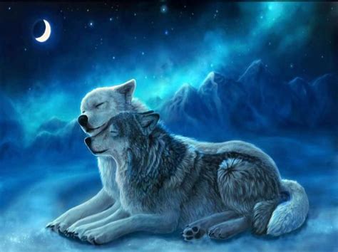 10 Best Images About Wolves On Pinterest Wolf Love Wolves And A Wolf
