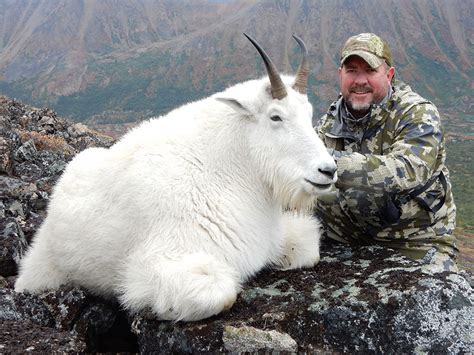 Bc Guided Mountain Goat Hunting Kawdy Outfitters