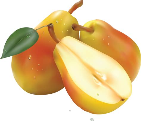 Pear Png Image Transparent Image Download Size 3560x3070px