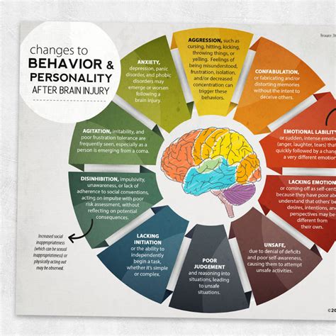 Changes To Behavior And Personality After Brain Injury Adult And