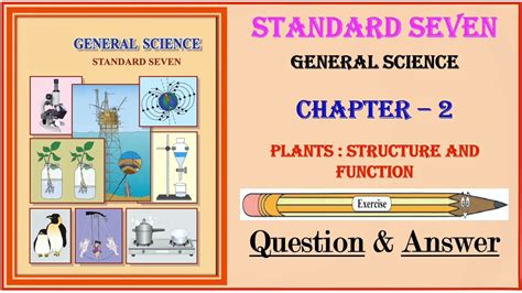Exercise Class 7th Science 2 Plants Structure And Function