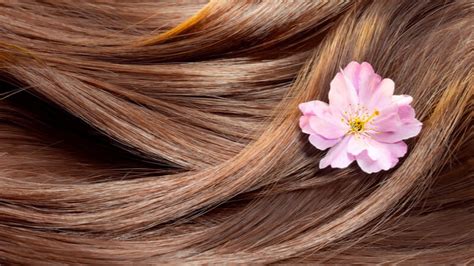 Beta Carotene Hair Growth Pin On Beauty Freetheanimalsthehous49519