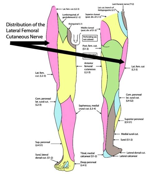 Lateral Femoral Cutaneous Nerve Block