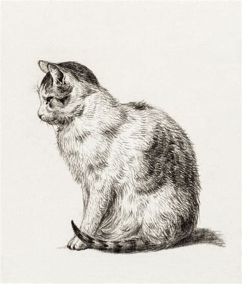 Reclining Cat 1800 By Jean Bernard 1775 1883 Original From The Ri