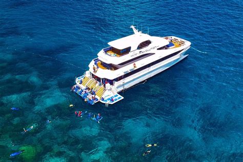 Great Barrier Reef Snorkeling And Diving Cruise From Cairns