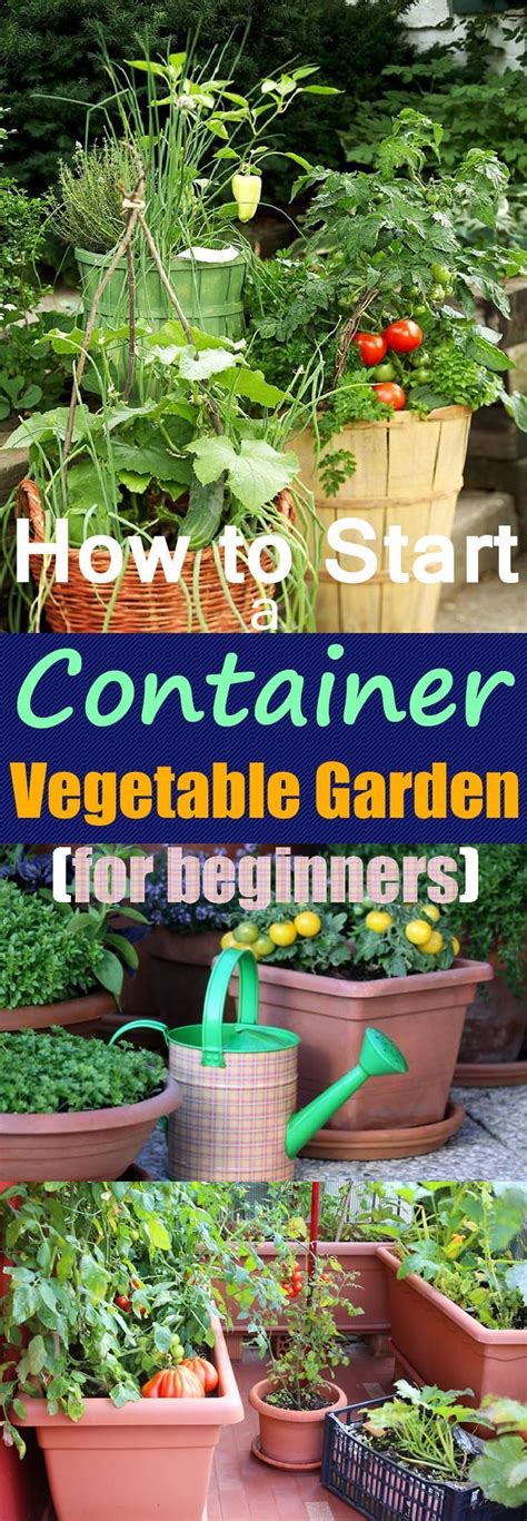 Growing Vegetables In Pots Container Gardening Vegetables Vegetable