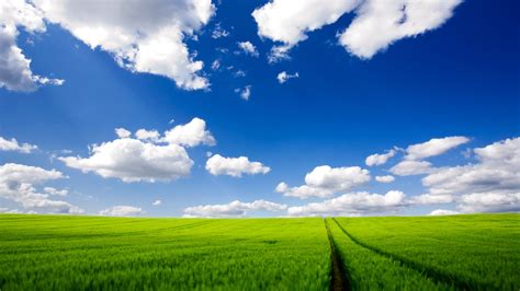 50 Cool Windows Xp Wallpapers In Hd For Free Download