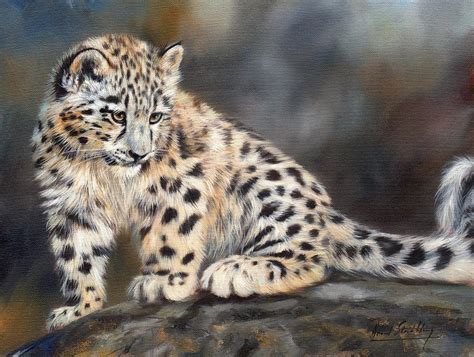 Snow Leopard Cub Painting By David Stribbling
