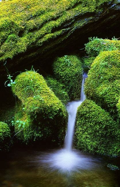 Mossy Cascade Oregons Lower Proxy Falls Beautiful Waterfalls