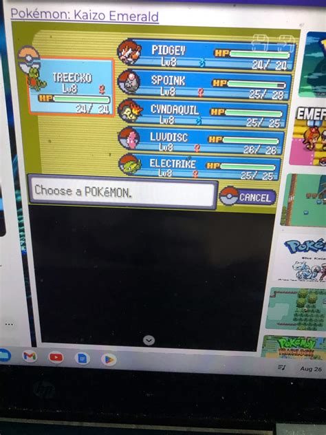 First six encounters (Pokémon Emerald Kaizo Playthrough) | Pokémon Amino