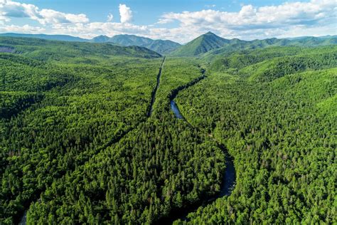 Forest Management In Russia Boreal Forest
