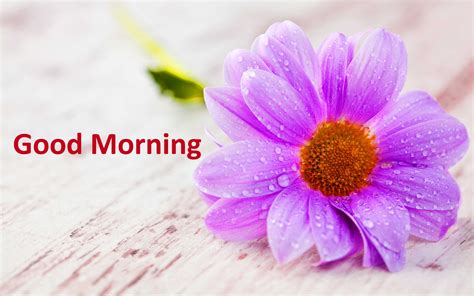 Good Morning Wishes In Malayalam. Malayalam Wishes Images : Best Malayalam Wishes & Images