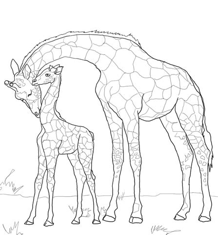 Mother And Baby Giraffe Coloring Page Free Printable Coloring Pages