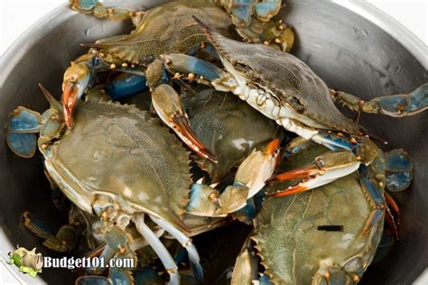 Crab Newburg Over Old Bay Pasta Crab Bisque Recipe Bisque Recipe