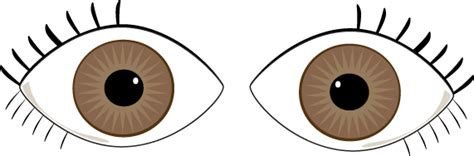 Brown Eyes Clip Art Image Clipart Panda Free Clipart Images