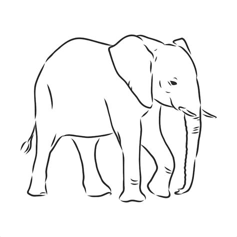 Silueta De Elefante Africano A Mano Alzada Sobre Un Fondo Blanco