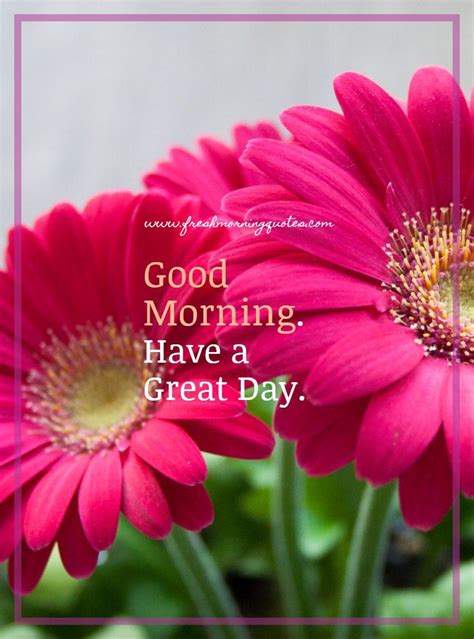 Good morning images hd for whatsapp and facebook free download : Best Good Morning HD Images | Good morning images, Morning ...