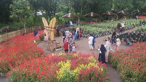 Taman Bunga Poska Destinasi Wisata Alam Yang Sedang Hits Di Kota