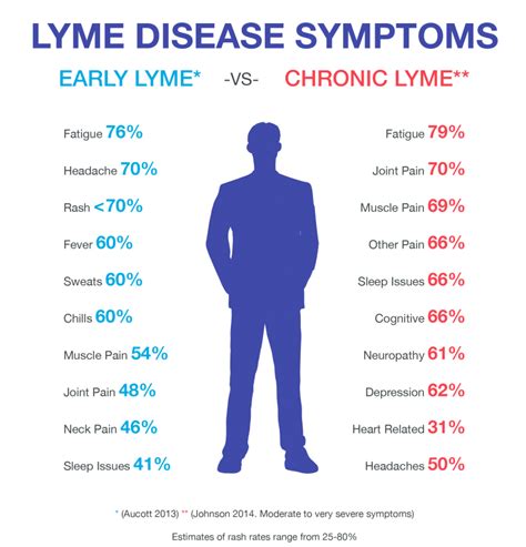 Can You Treat Lyme Disease With Essential Oils Planet Organics