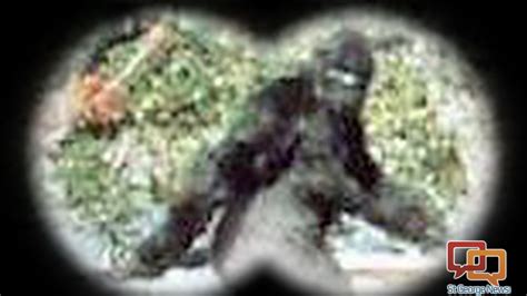 Footage Of Another Reported Bigfoot Sighting In Utah Released St