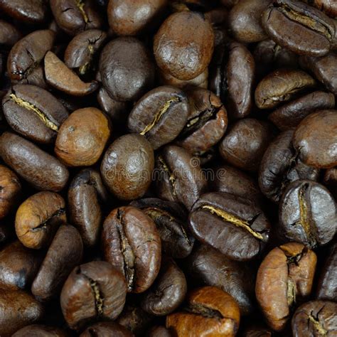 Coffee Grains Stock Photo Image Of Drink Black Backdrop 29022244
