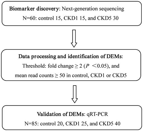 Flow Chart Of The Study Design Ngs Was Performed For Biomarker