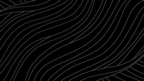 Premium Vector Abstract Wavy Lines Black And White Background Stock