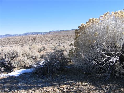 High Plains Desert Jason Riedy Flickr