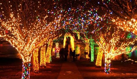 We assure everyone that the christmas park land of lights never makes decisions lightly. 17 Best Christmas Light Displays In Oklahoma 2016