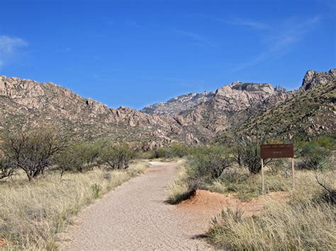 Canyon Loop Trail Catalina State Park Arizona
