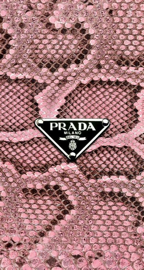 And as a bonus, a trio of colorful modern backdrops to brighten the mood for leisurely lunch or after hours zoom calls: 33 best Prada images on Pinterest | Prada, Background ...
